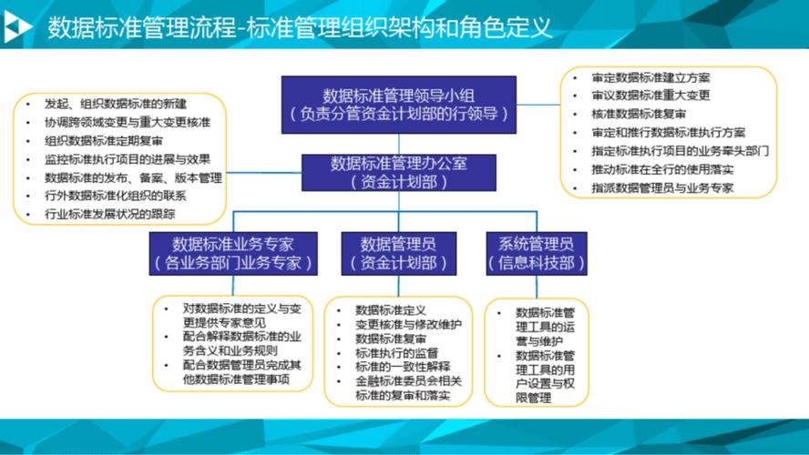 大数据专业_数据治理专业服务