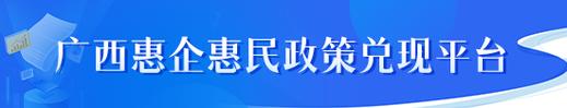 广西网站建设_广西管局要求