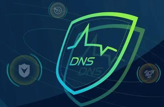 dns防护_DNS