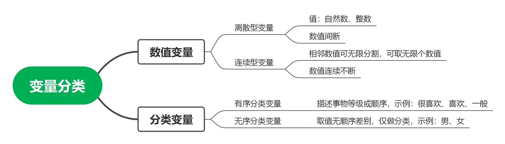 变量的类型