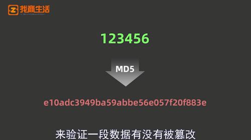 md5是什么意思