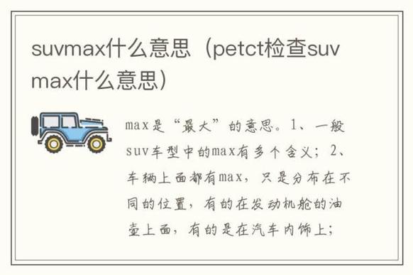 max什么意思