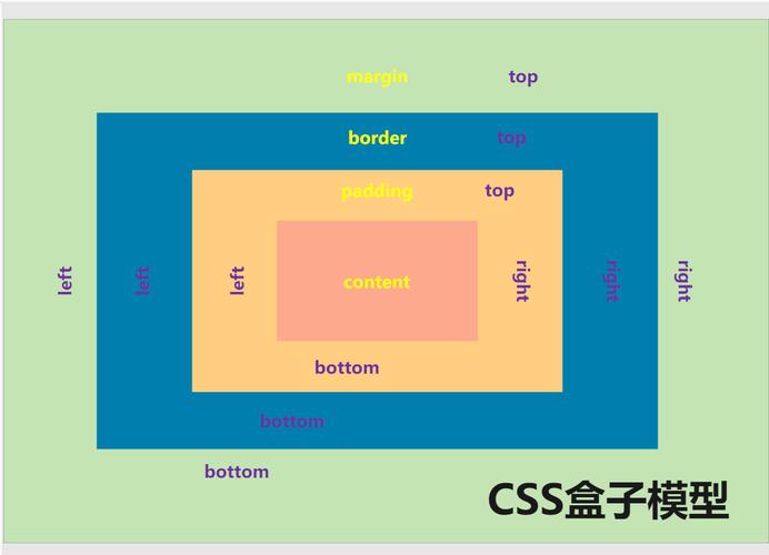 css盒子模型有几种