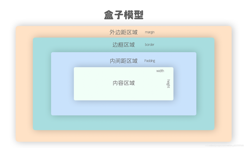 css盒模型有哪些