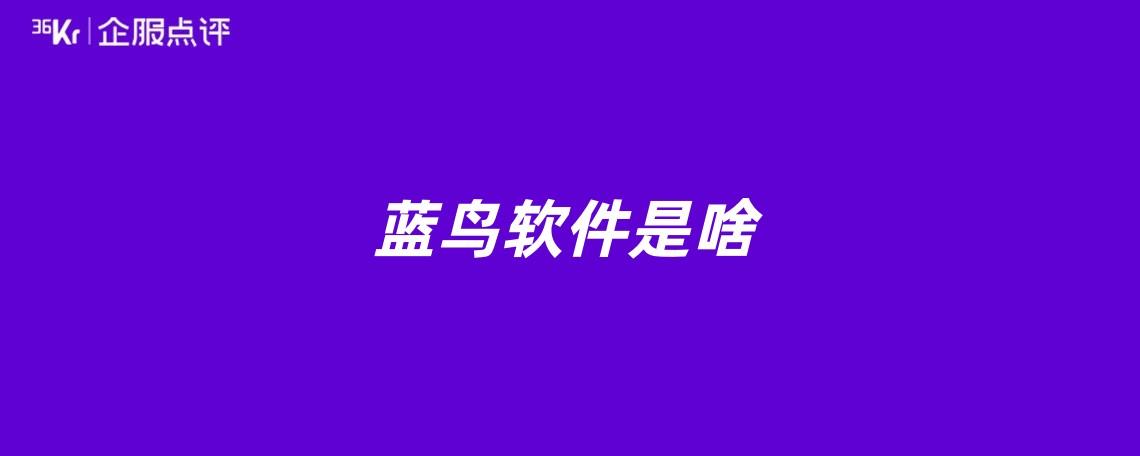 蓝鸟软件是啥