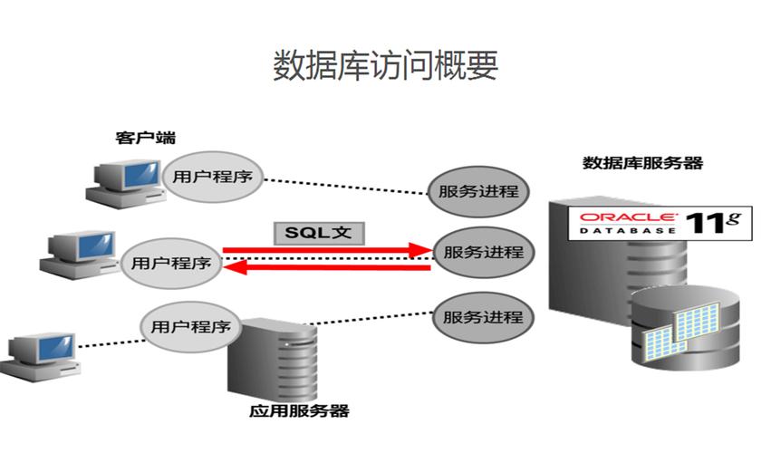 数据库软件是干嘛的