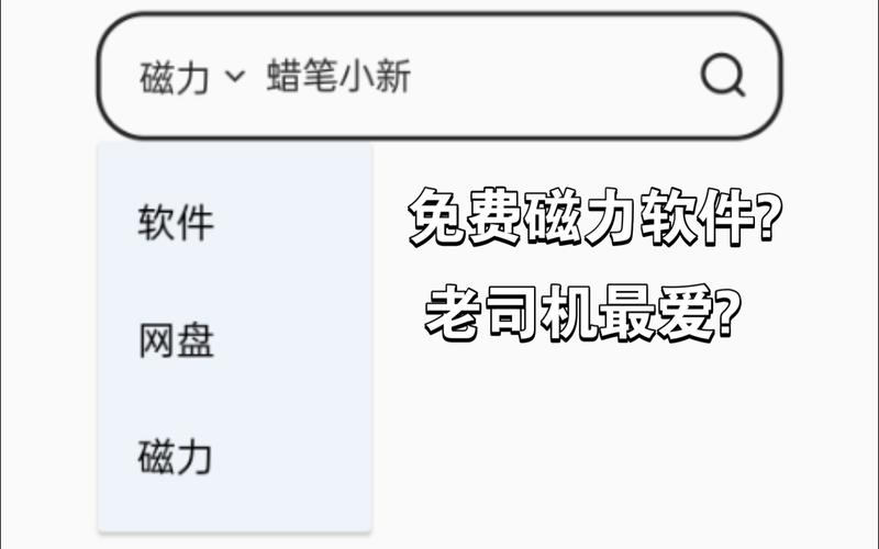 磁力搜索是什么软件