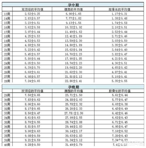 hc是什么意思