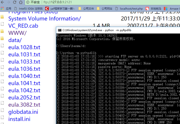 python ftp服务器_FTP