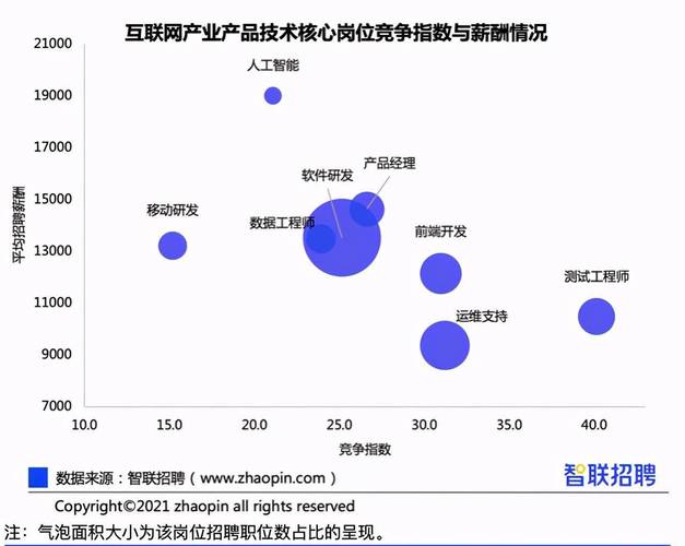 大数据岗位分析报告_分析报告