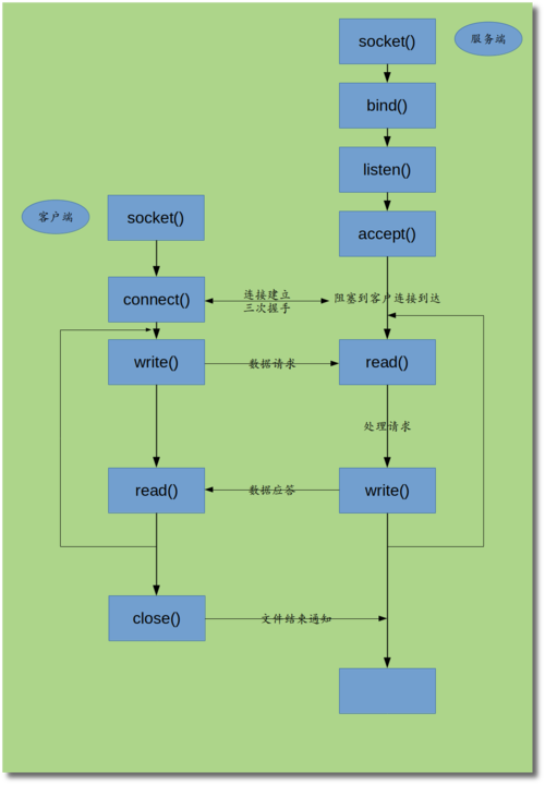 服务器编程专业学什么内容