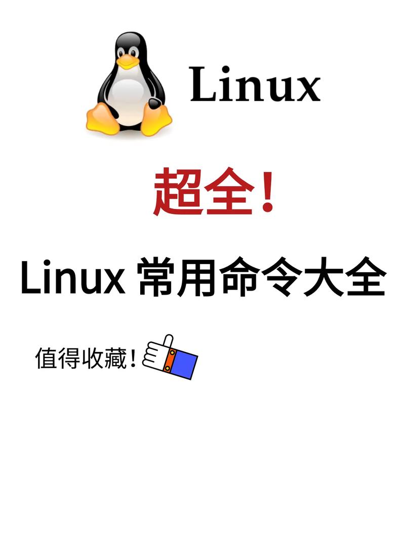 linux 常用命令