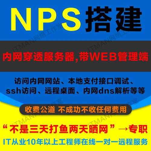 服务器的nps是什么意思