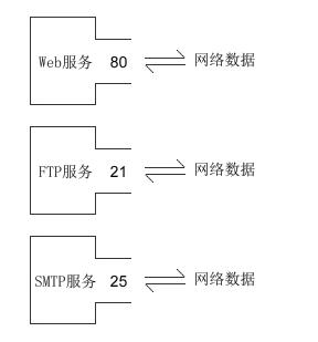 socket是什么协议