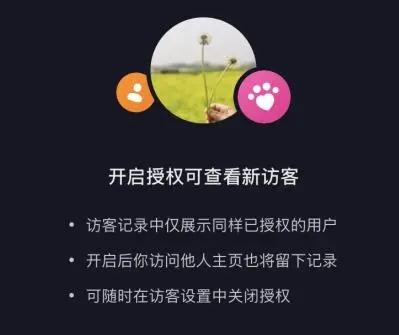 抖音新访客是什么意思