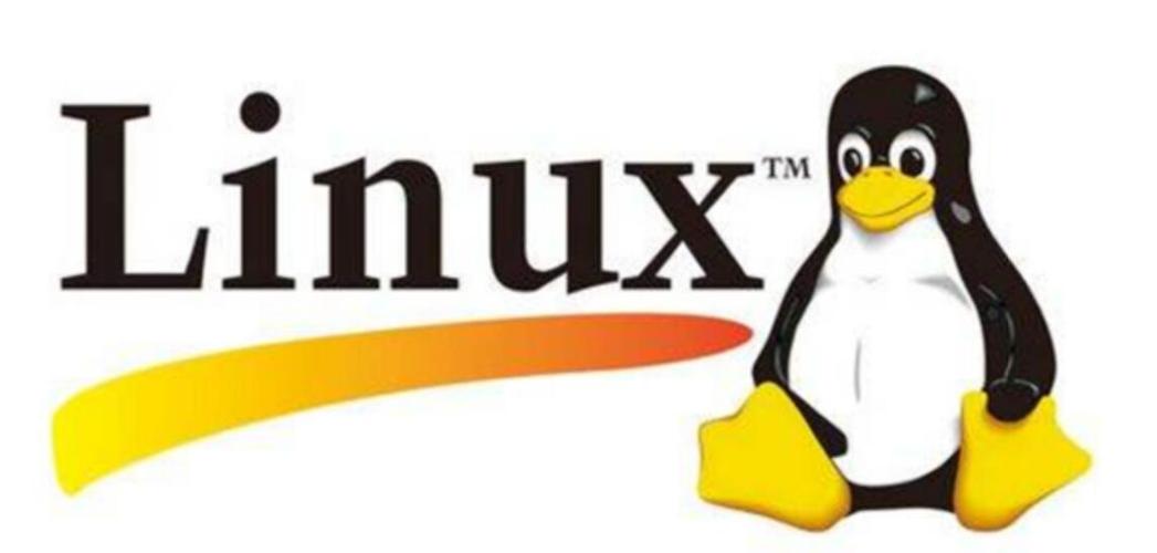 Linux属于什么系统