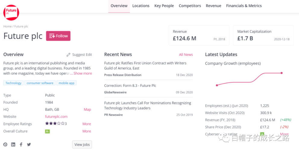 公司网站 英文_分公司或子公司网站是否可以备案到总公司备案中