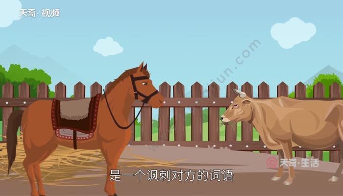 抖音的牛马是什么意思