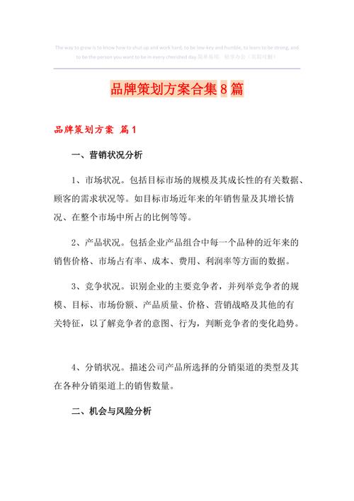 品牌网站建设策划书_定制双品牌