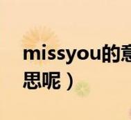 miss是什么意思