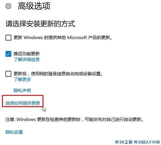 Win10系统delivery optimization服务占用网速怎么办？