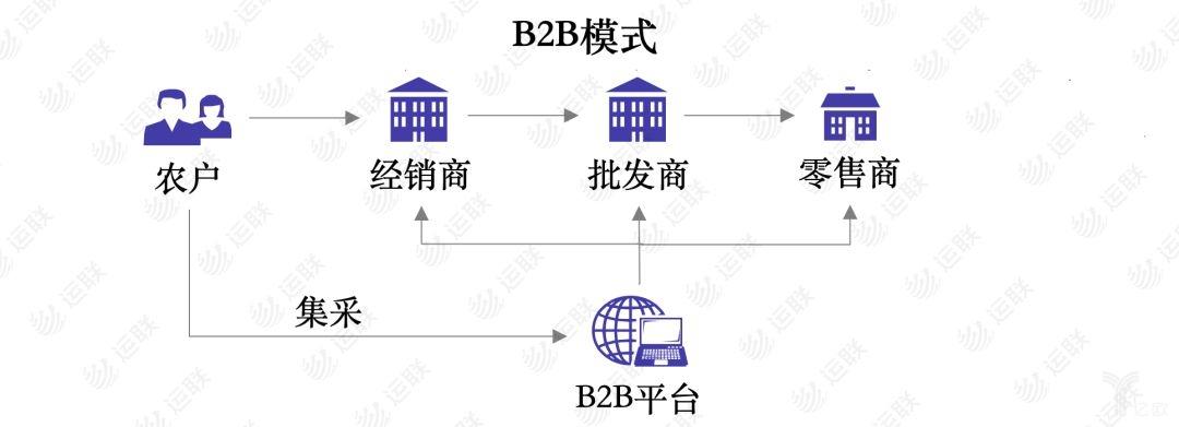 b2b特点