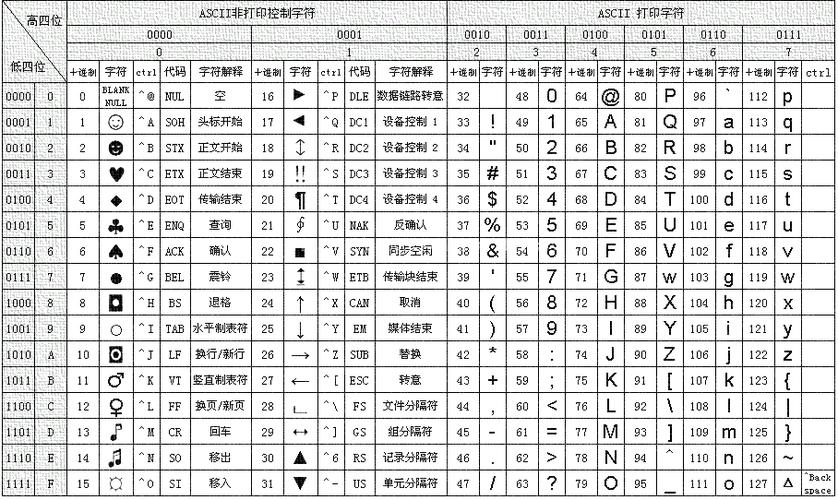 ascii是什么意思