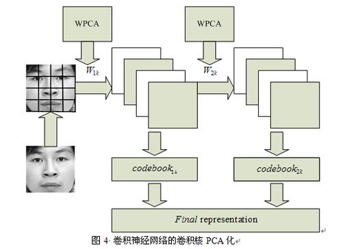 卷积神经网络的应用领域