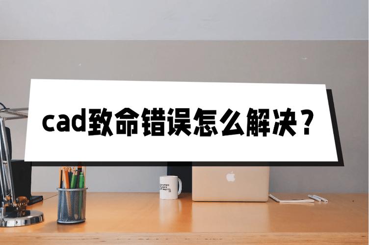 Win11使用CAD卡顿或者致命错误怎么办？