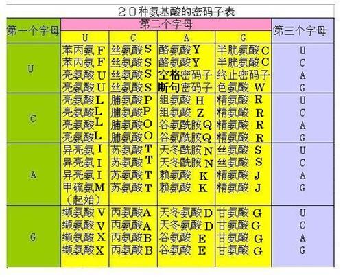 密码分为核心密码普通密码和什么密码