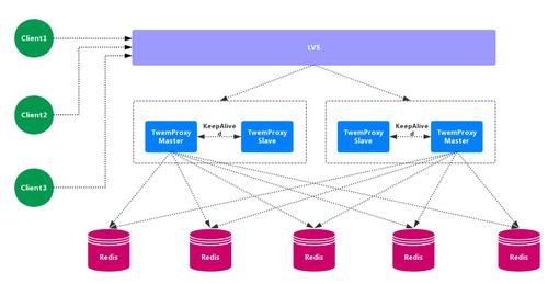 客户端 服务器 proxy_Redis Proxy集群实例