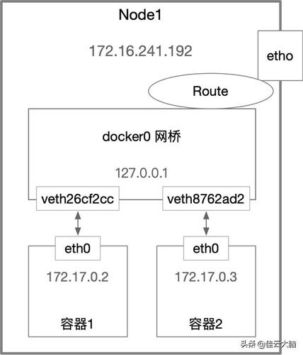 docker 设置网络宿主_宿主变量