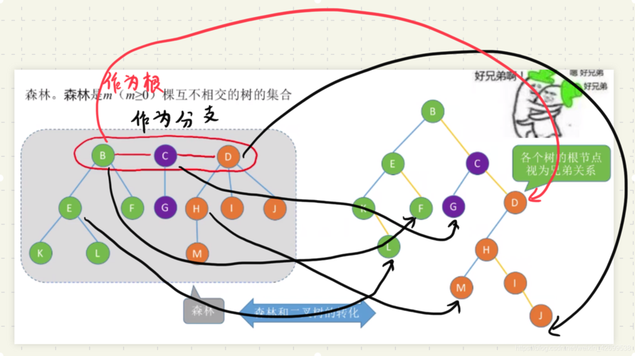 判断数字_分支判断