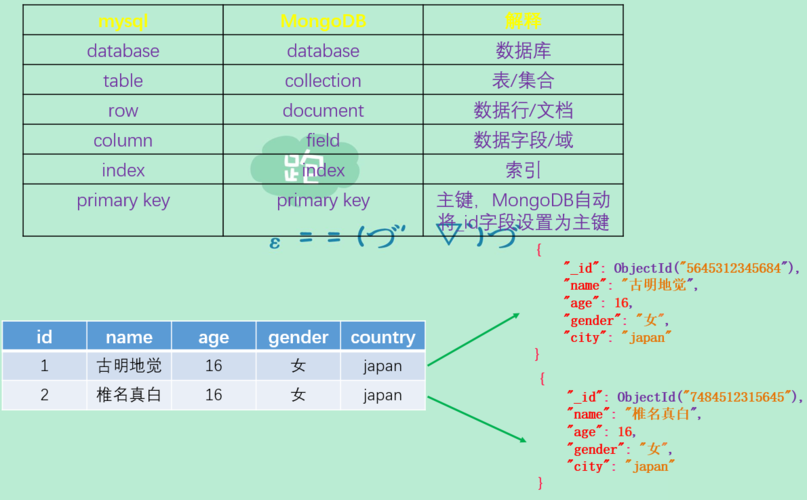 mongodb 所有数据库_文档数据库（MongoDB）