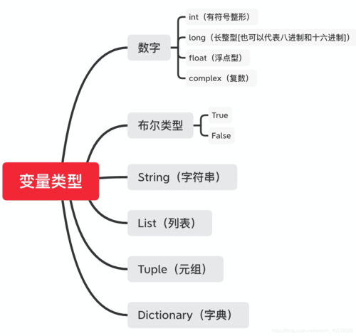 变量的类型