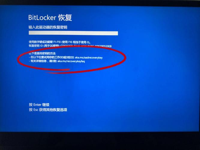 win11系统账号已锁定无法登录怎么解决？