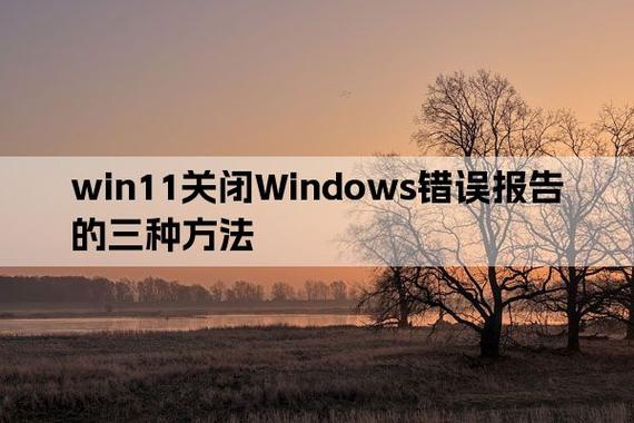 win11怎么关闭错误报告服务？