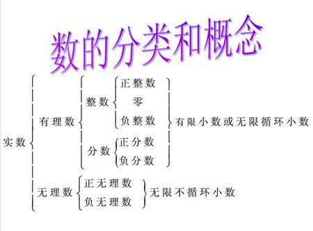 判断整数_整数类型