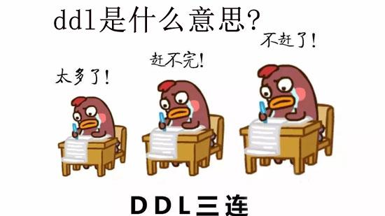 ddl是什么意思