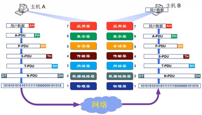 网络是什么