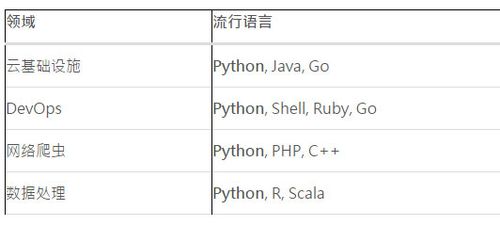 大数据什么编程语言_其他编程语言