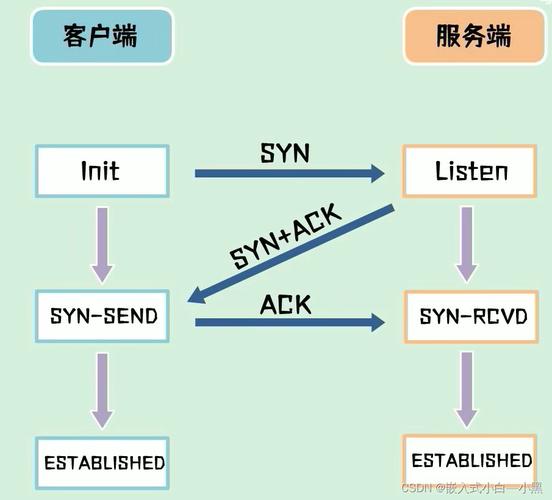 socket协议是哪一层