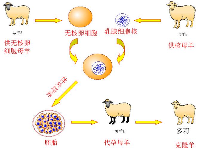 克隆实例时间_克隆实例