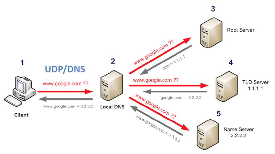 dns防护_DNS