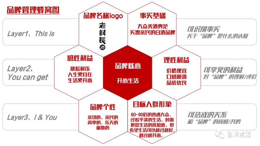 品牌型网站建设解决方案_定制双品牌