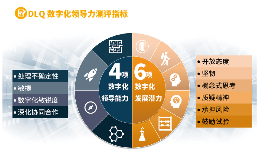 培训行业网站建设的重要性_数字化领导力高研班