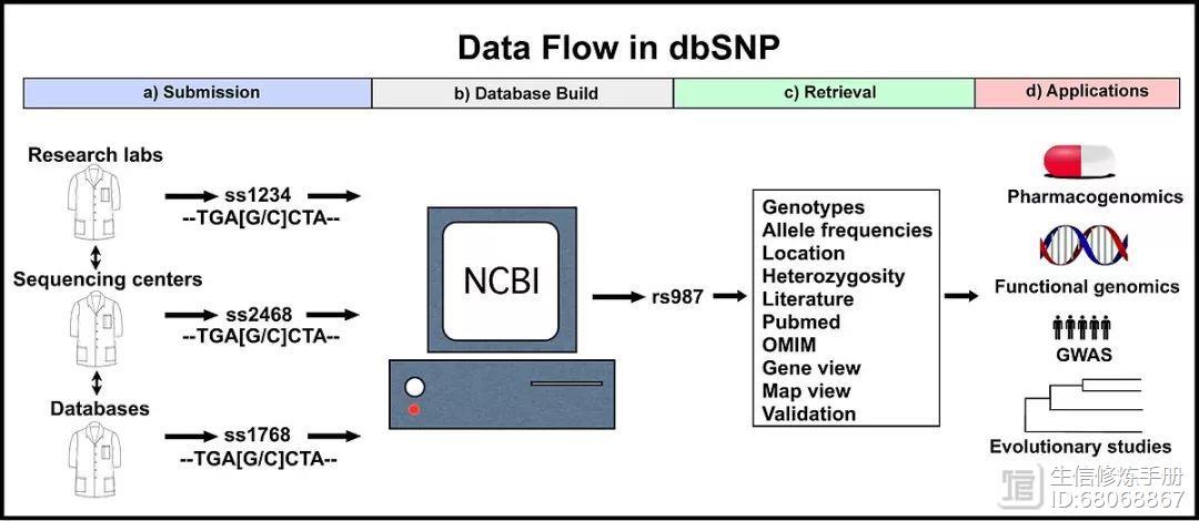 dbsnp数据库 _数据库