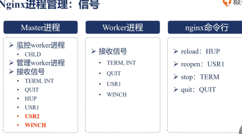 Nginx多域名配置方法介绍