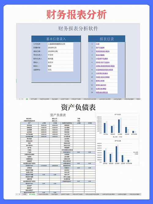 财务报表软件_财务报表识别