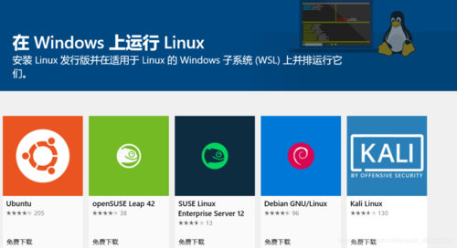 电脑可以直接装linux系统吗